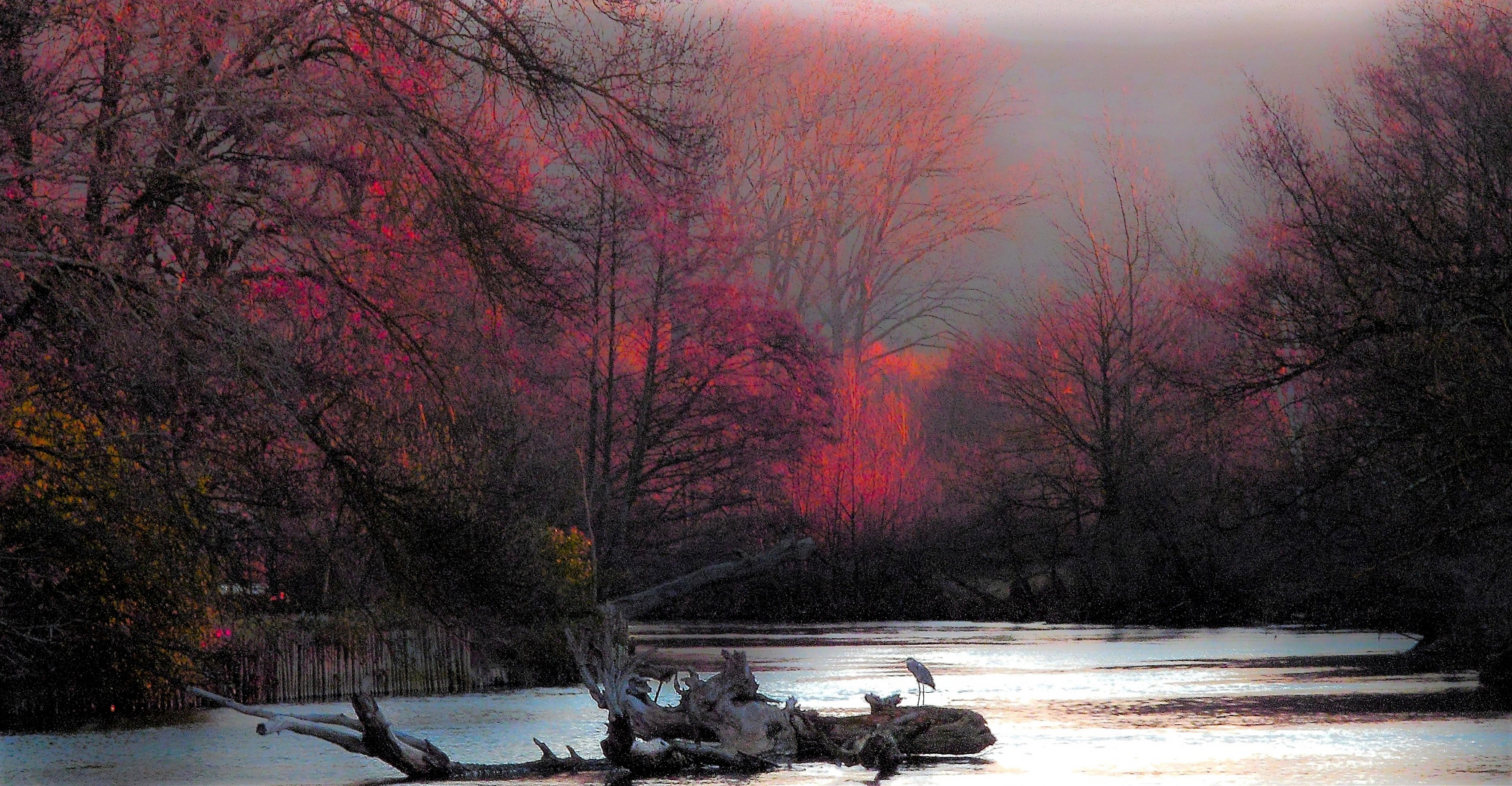 UN MATIN D'HIVER