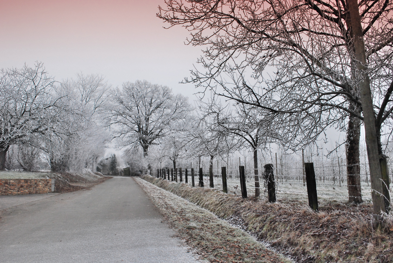 Un matin d'hiver