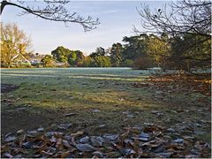 Un matin givré au Jardin Botanique --  Cambridge