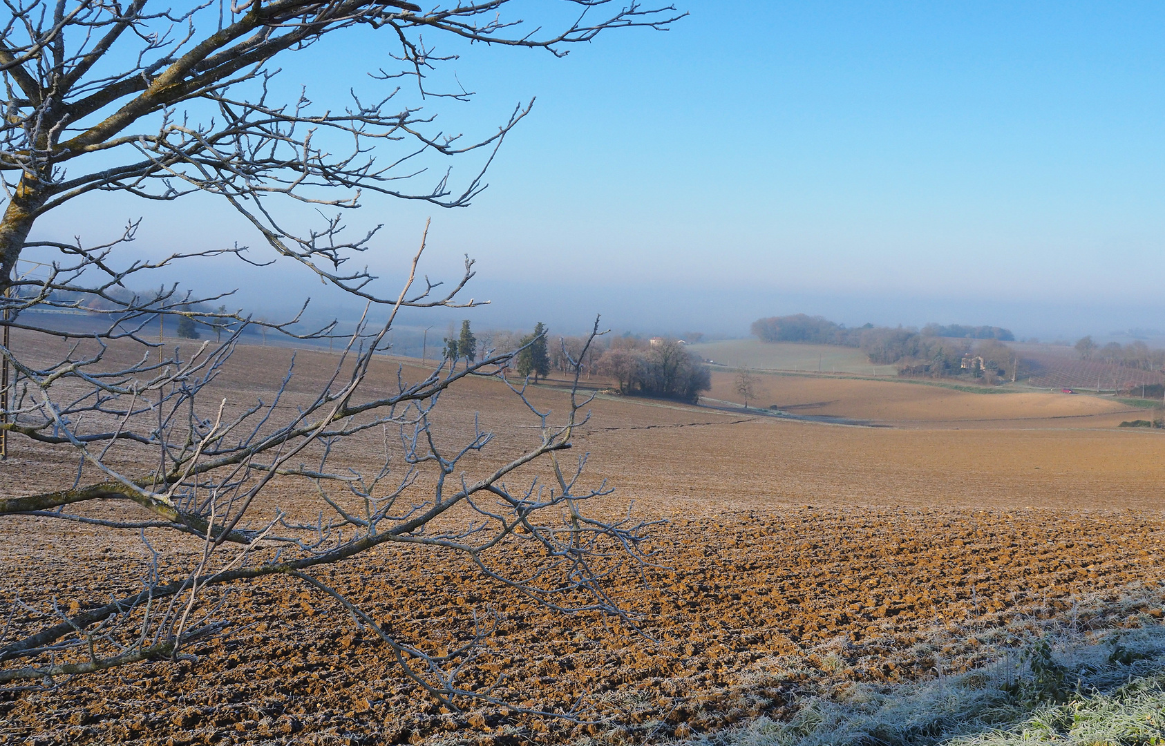 Un matin givré mi- janvier