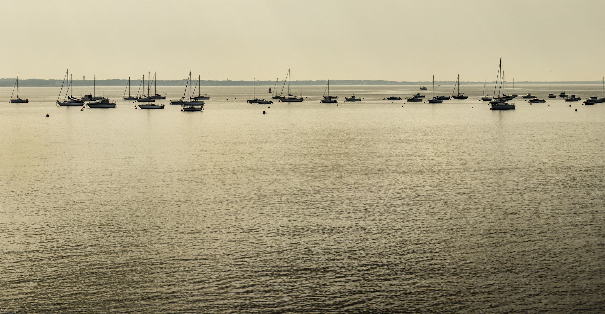 Un matin, la baie...