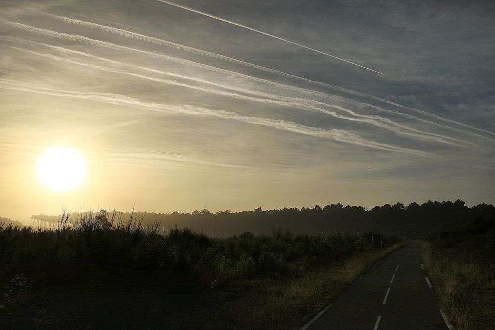 un matin tôt !