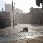 ...Un matin tranquille et pluvieux à Belo Horizonte pendant la Coupe du monde.