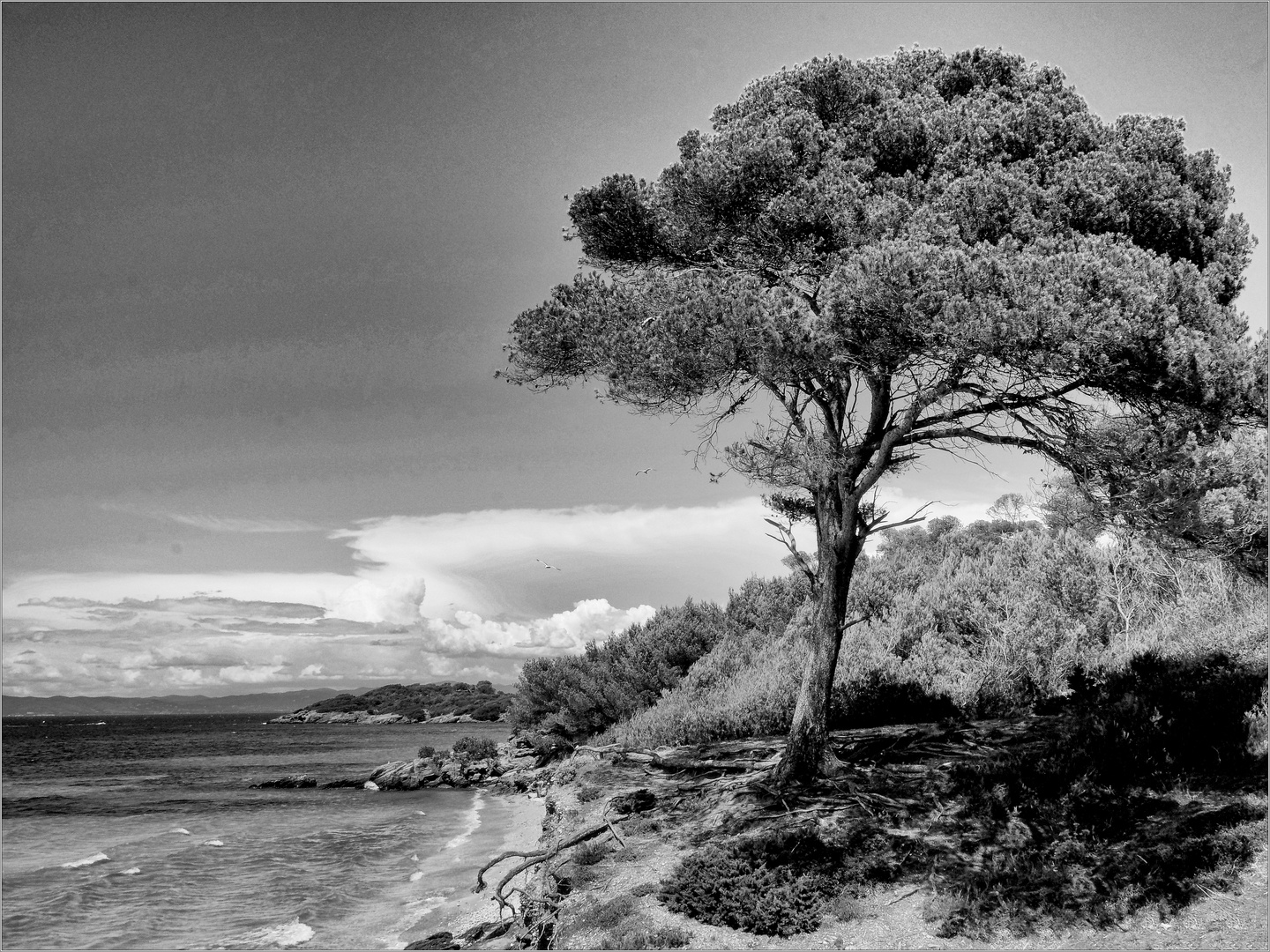  Un mattino all'isola di Porquerolles.