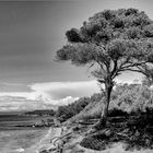  Un mattino all'isola di Porquerolles.