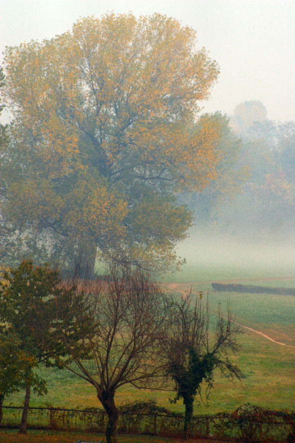 Un mattino autunnale di susy maglione 