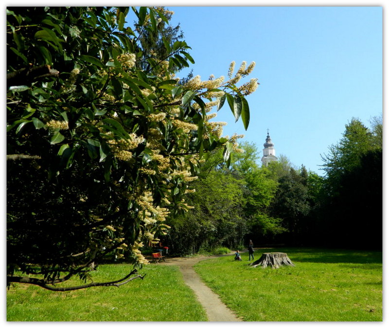 Un mattino di primavera