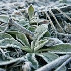 Un mattino molto freddo