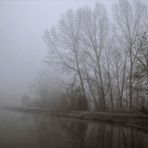 Un mattino Padano