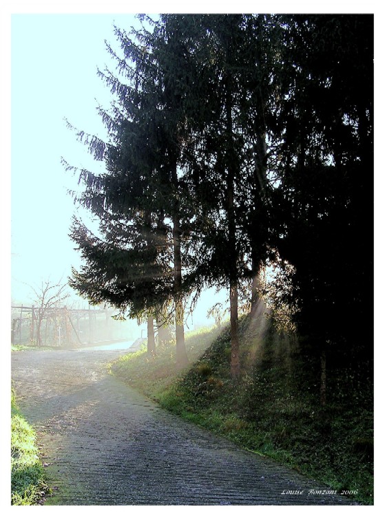 Un mattino...sorpresa