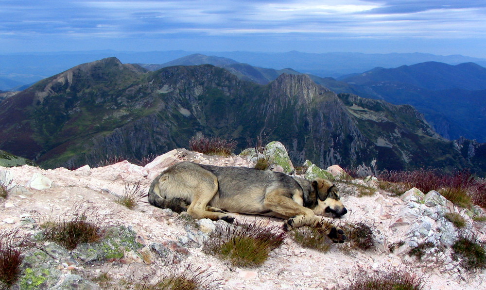 "Un merecido descanso"