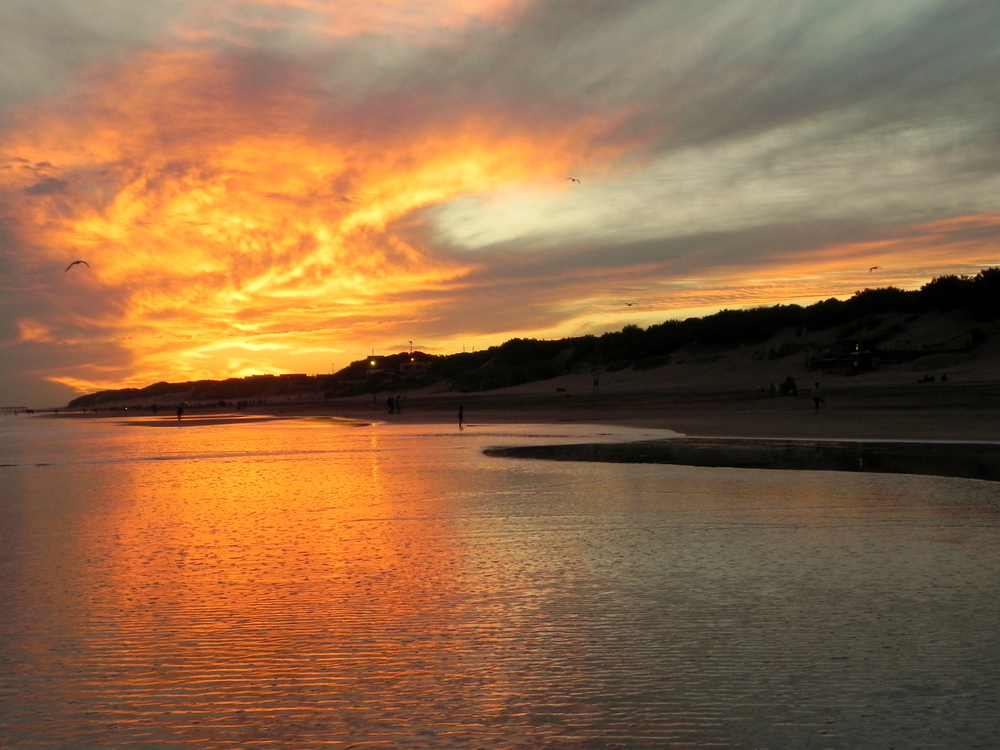 un mismo ocaso,en diferente color