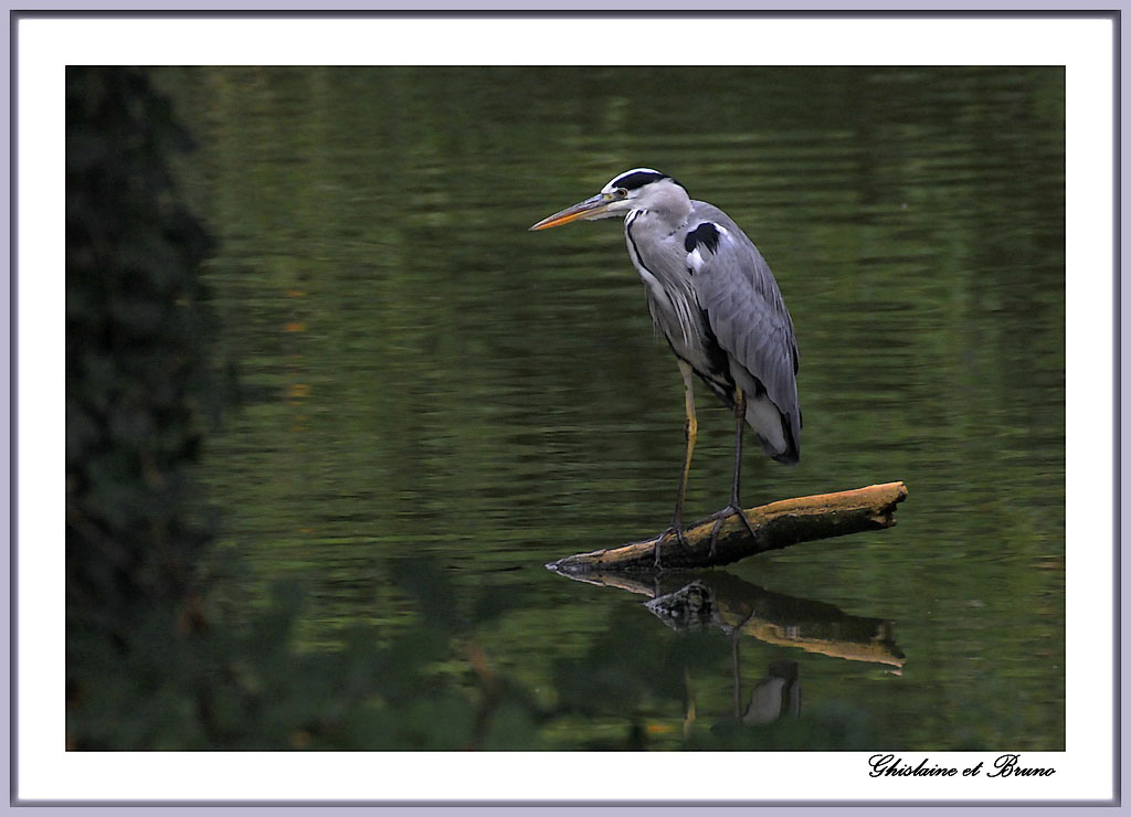 Un moment de repos