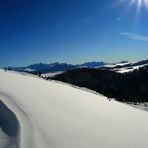 Un mondo incontaminato