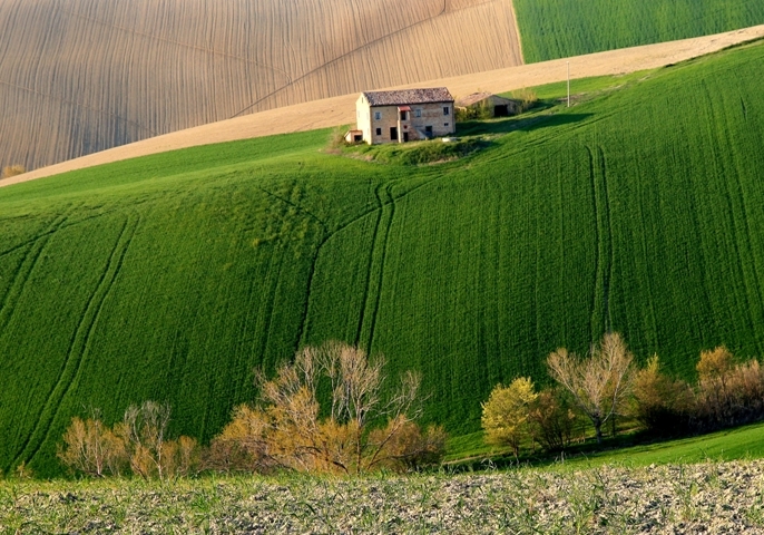 un mondo splendido