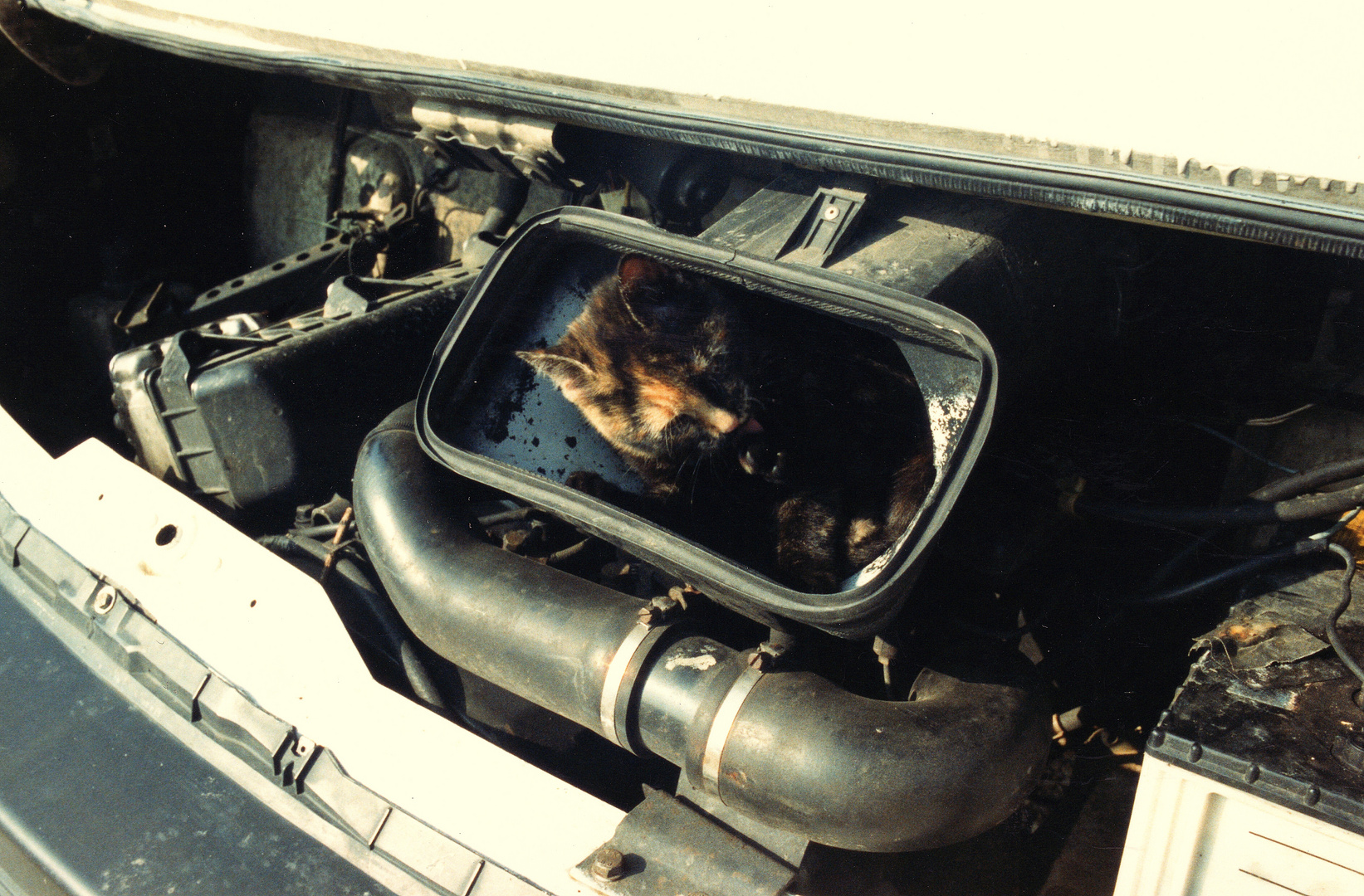 Un moteur qui ronronne.Argentique 1996.