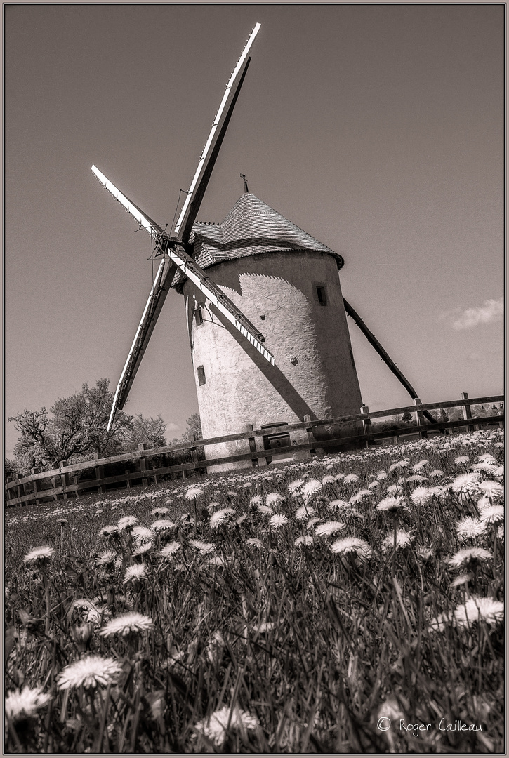 Un moulin