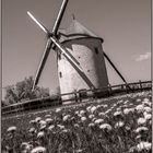 Un moulin