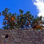 Un muro, le arance e le nuvole