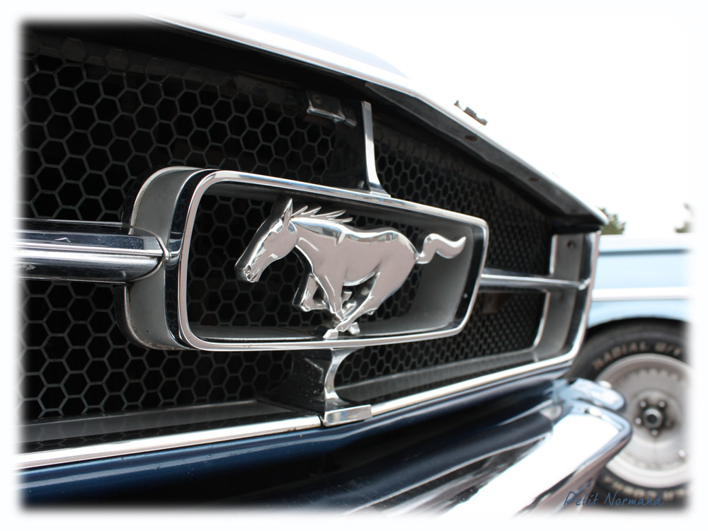 un mustang qui en a sous le capot