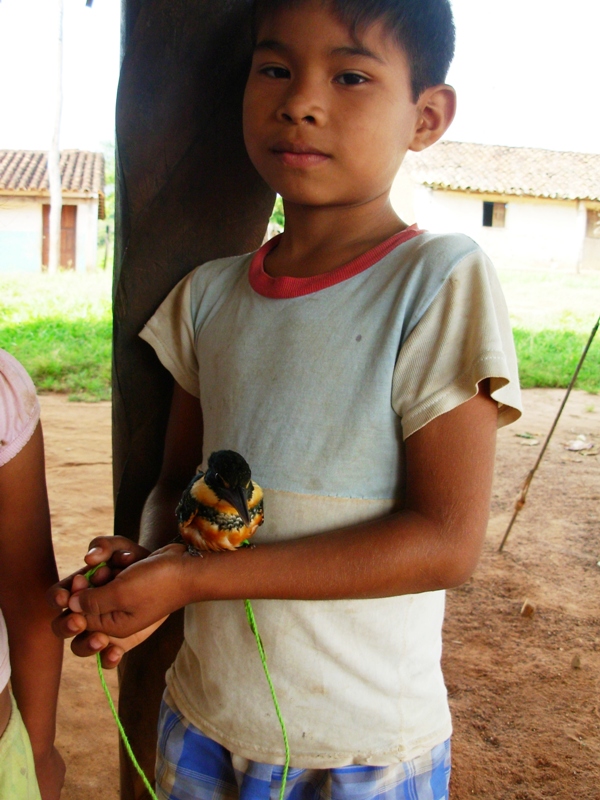 un nativo de Urubicha con su Pajaro manso