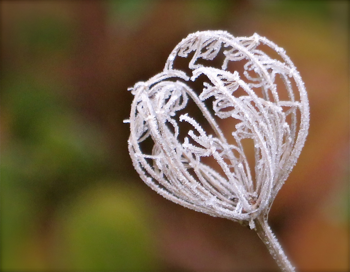 .. un naturel bijoux !!!...