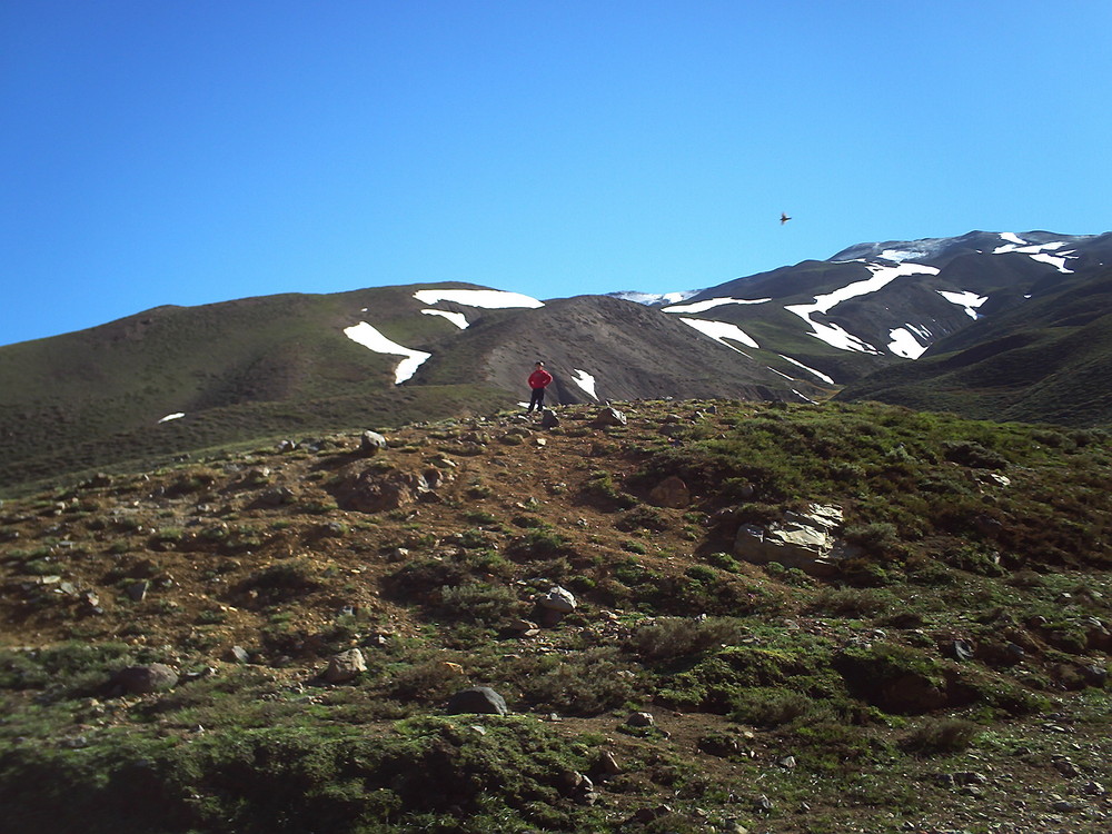 un niño con un pajarillo en vuelo en la cordillera