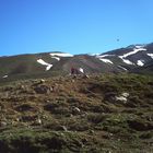 un niño con un pajarillo en vuelo en la cordillera