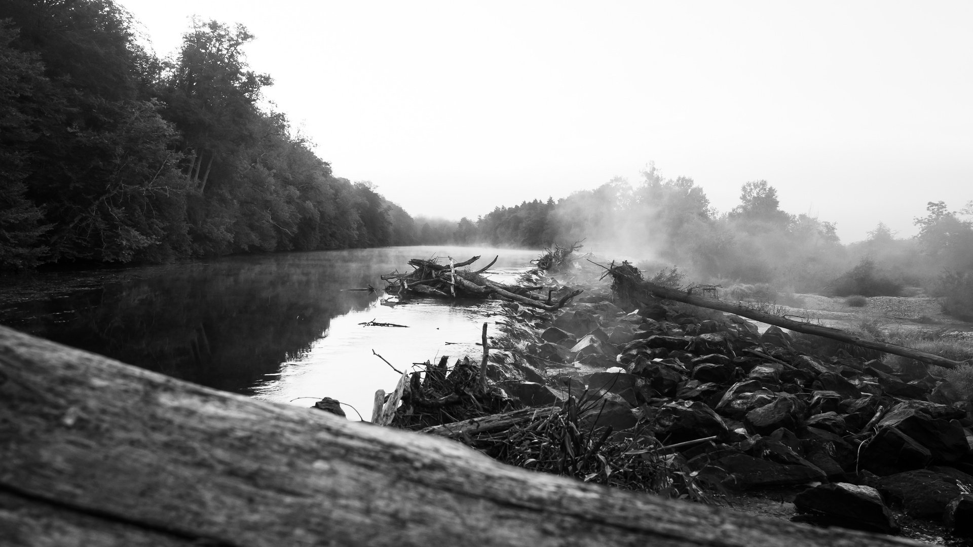 Un Noir et Blanc un matin de septembre (déjà l'automne ?)