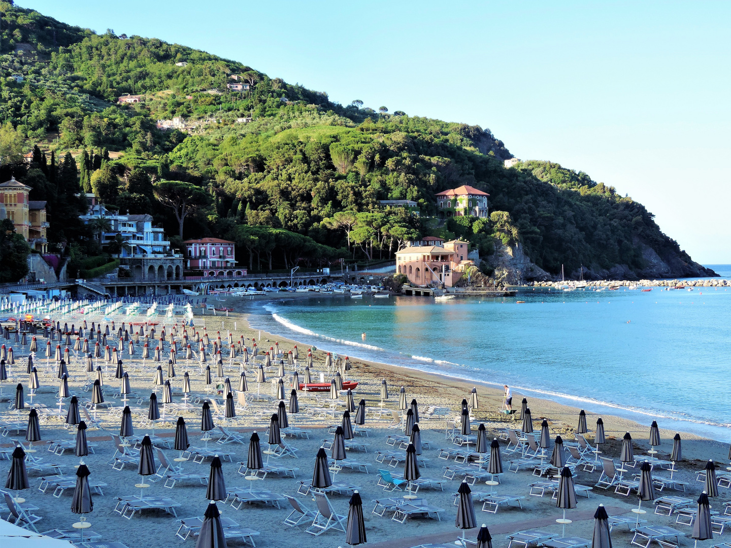 Un nuovo reggimento di soldatini del mare all'alba