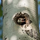 Un nuovo sguardo sul mondo