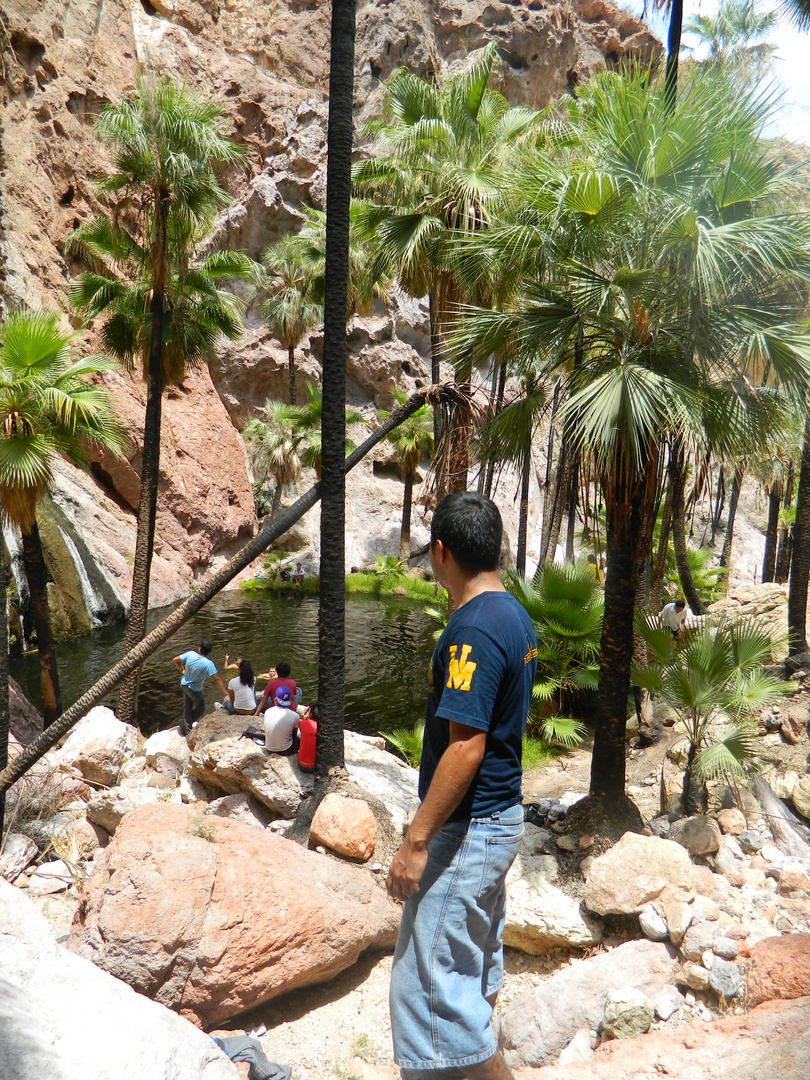 Un Oasis en Guaymas