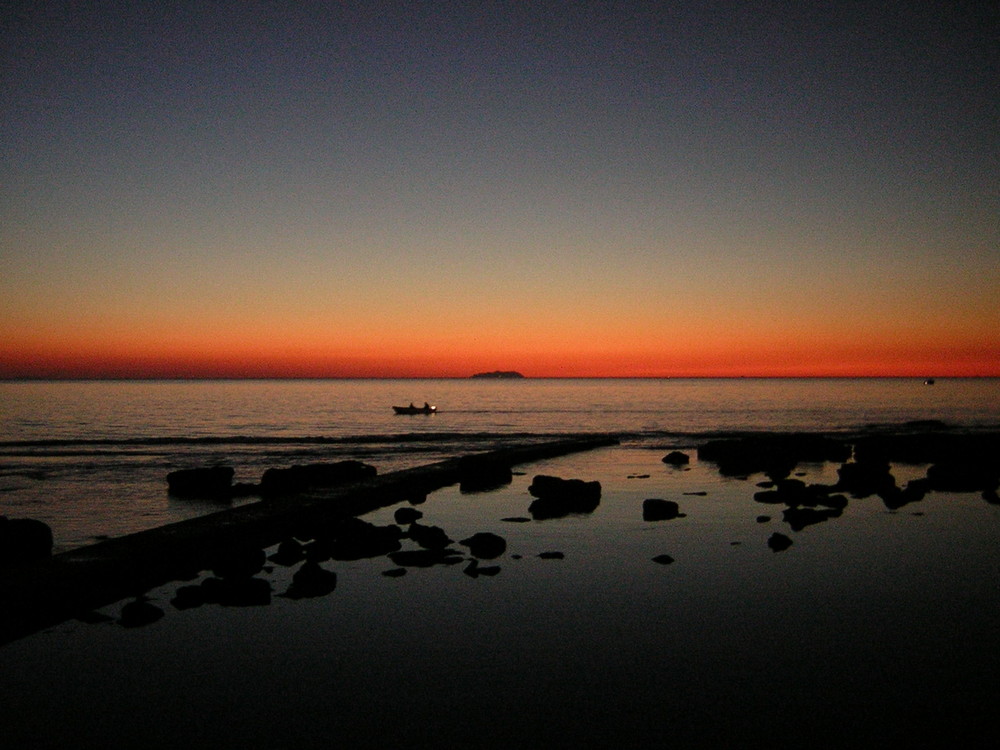 un omaggio a Livorno