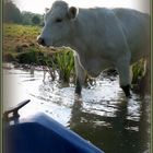 un p' tit tour en barque ?