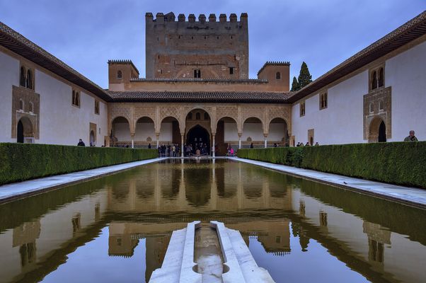 UN PAJARITO EN LA ORILLA