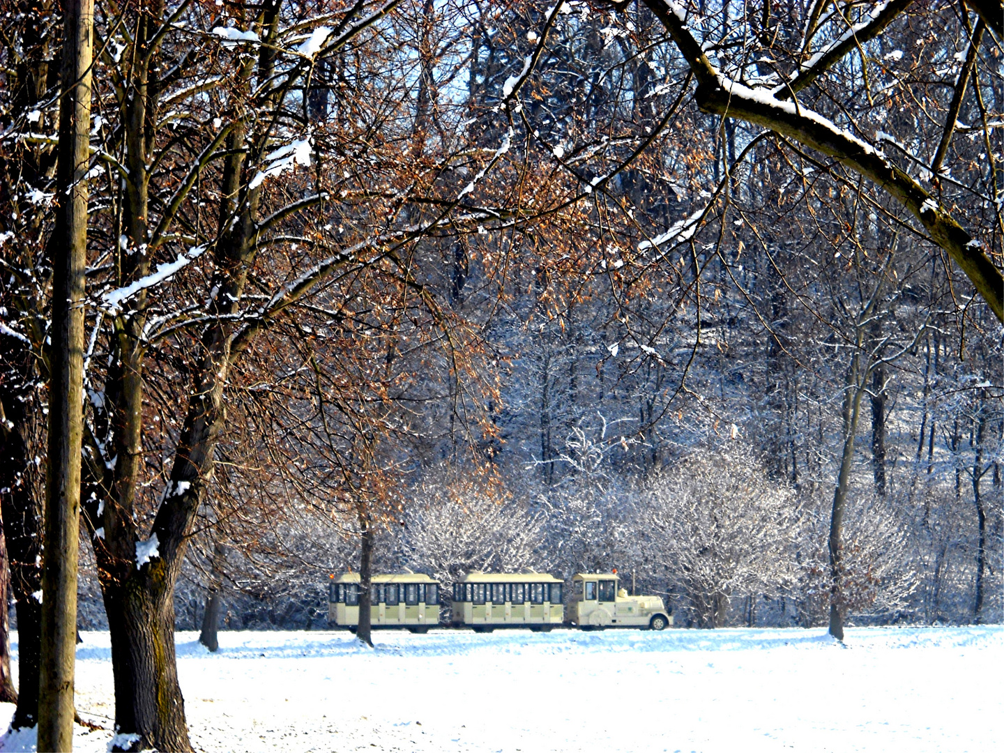 Un parco (La Mandria ) un trenino (Tip) e.....la neve.