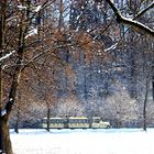 Un parco (La Mandria ) un trenino (Tip) e.....la neve.