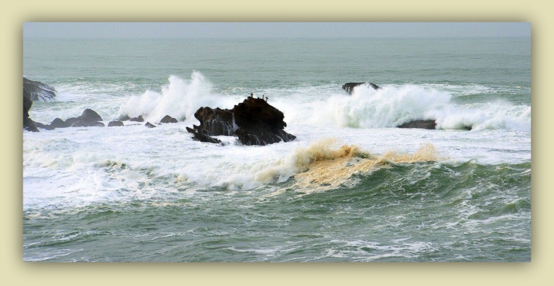 Un parfum.... " d' Eau Sauvage "...