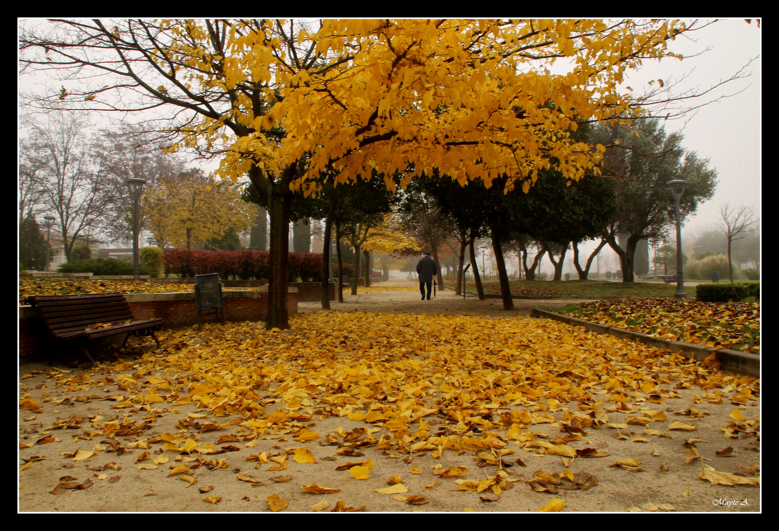 Un paseo en otoño....