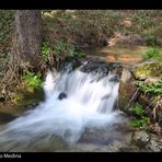 Un paseo por Cercedilla( Para mi padre Arturo Medina)