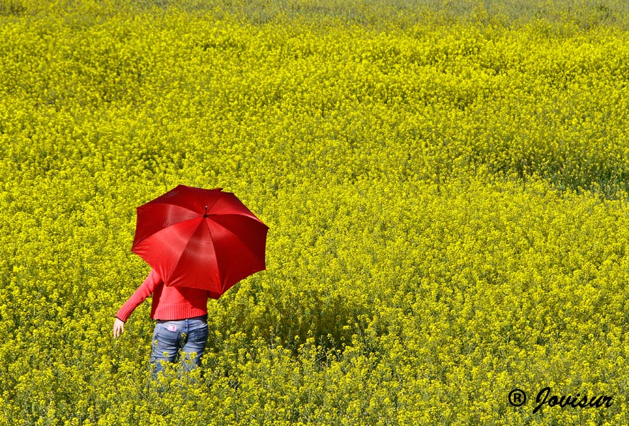 Un paseo por la primavera.