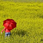 Un paseo por la primavera.