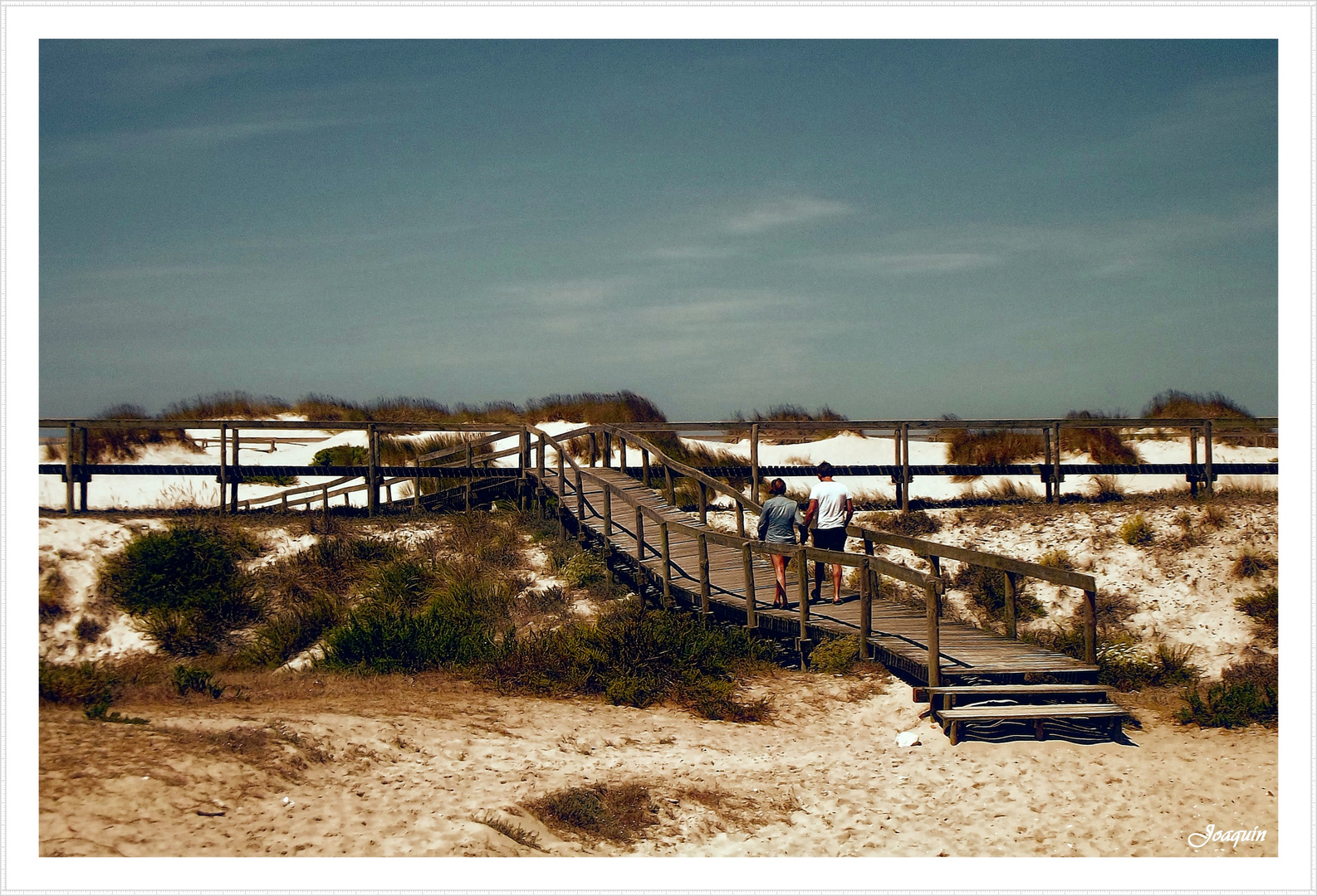 UN PASEO POR LAS DUNAS