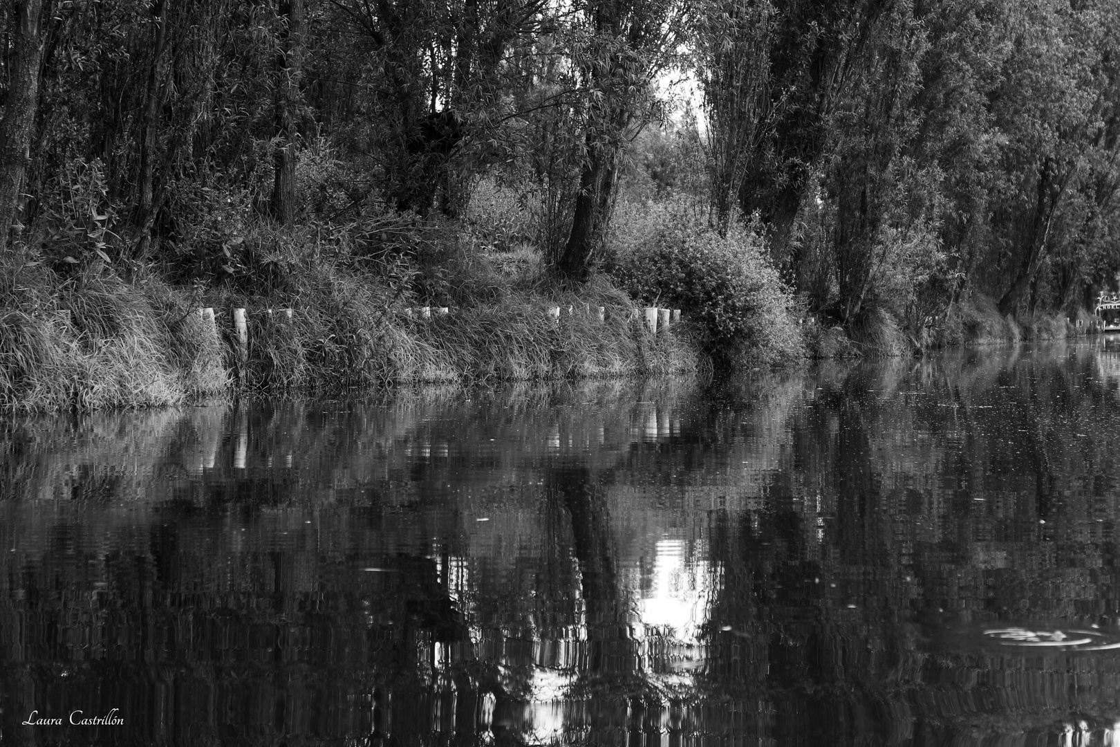 Un paseo por Xochimilco