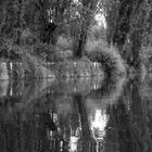 Un paseo por Xochimilco