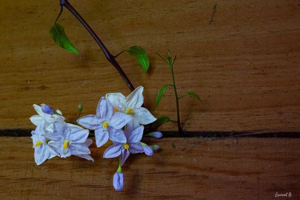 Un passage vers la lumière