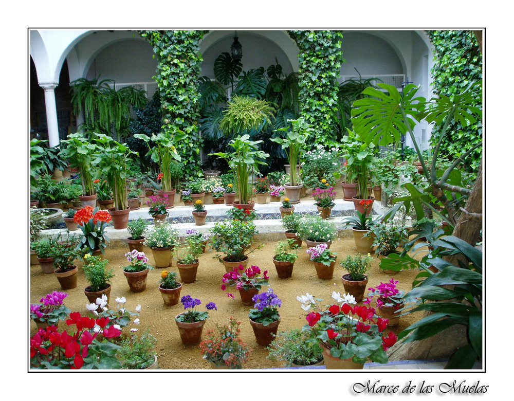 Un patio de Sevilla