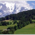 "Un paysage avec beaucoup d herbe verte dedans "