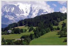 "Un paysage avec beaucoup d herbe verte dedans "