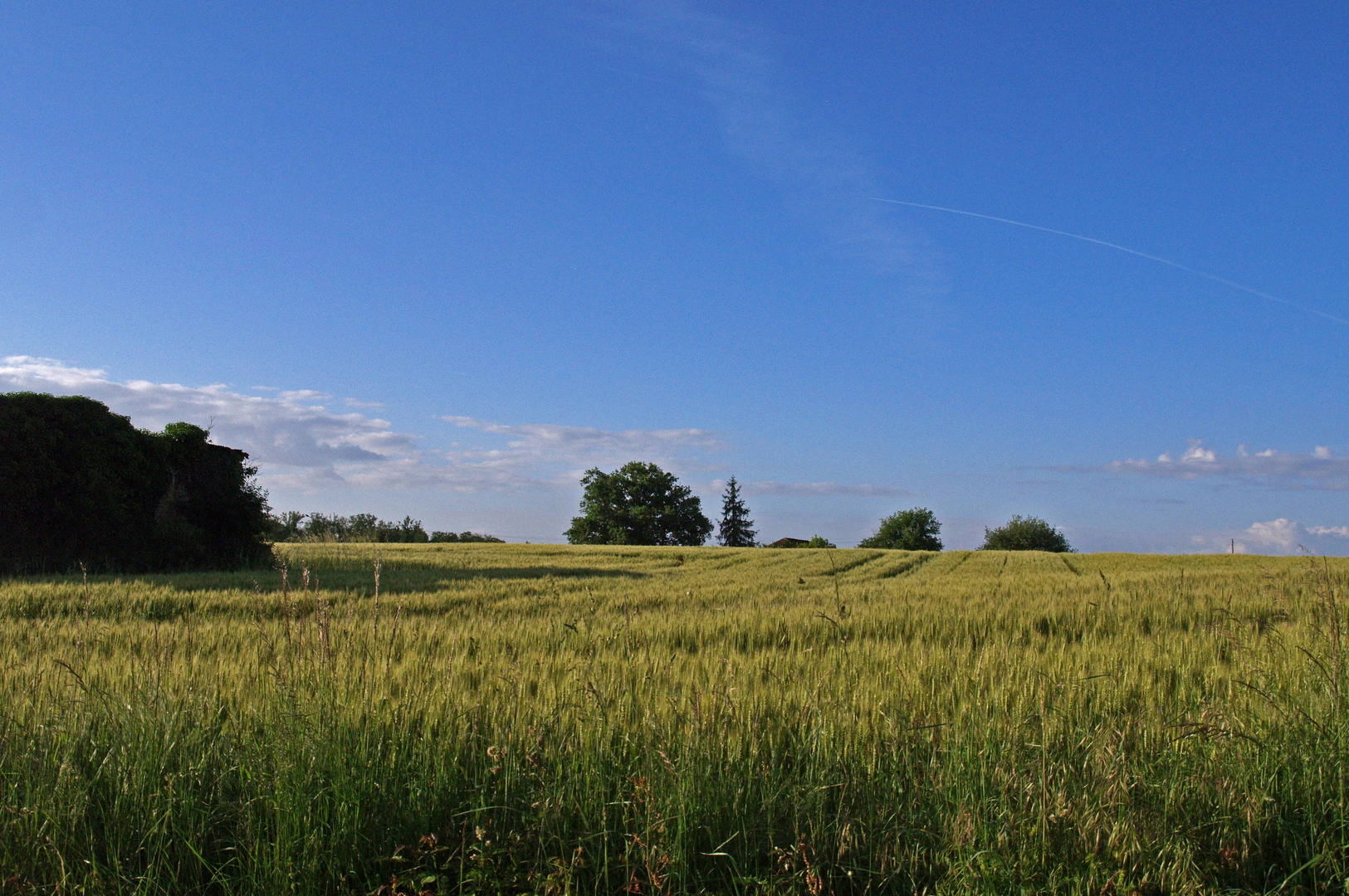 Un paysage près de Nogaro  -  Gers